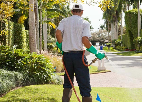 About La Grange Park IL Pest Control